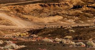 库里与巴特勒双双砍下30+分，勇士却连败三场，外线命中率惨淡令人心痛